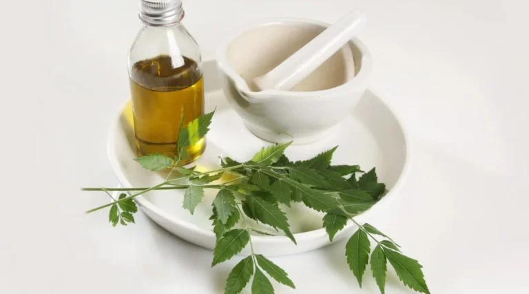 Beneficiile Uleiului de Neem